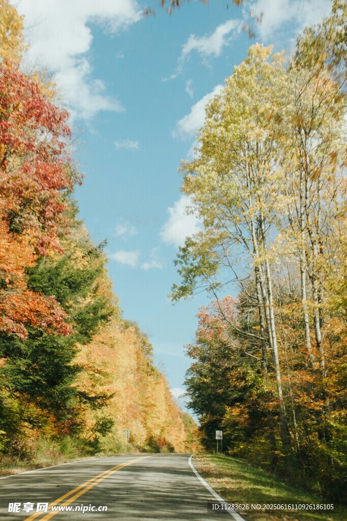 秋日公路美景