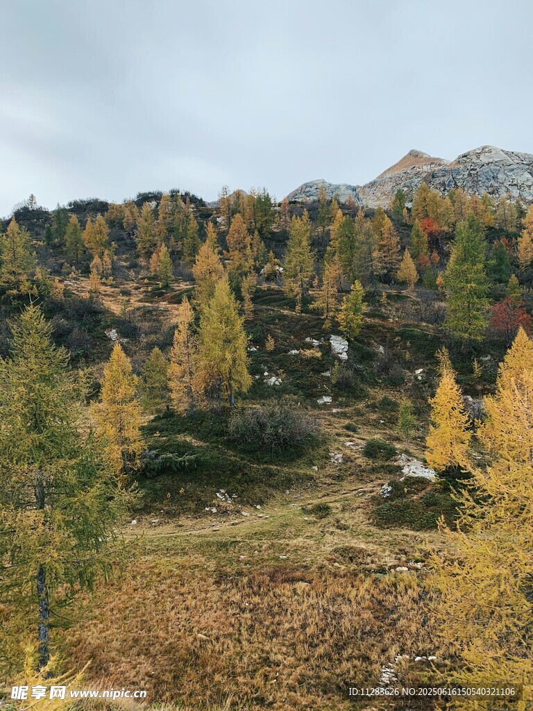 秋日山林美景