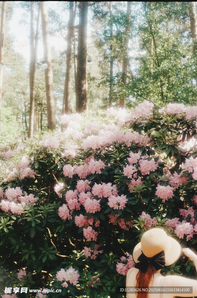 春日花叢中的優雅女子