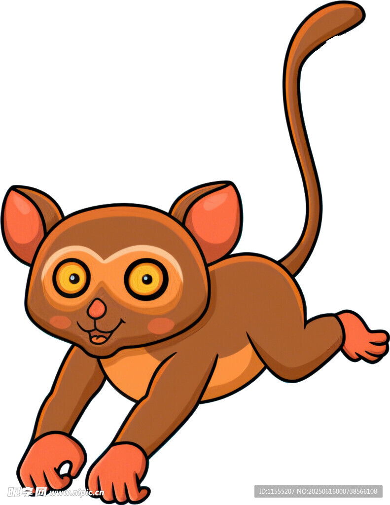跳躍的可愛小狐猴