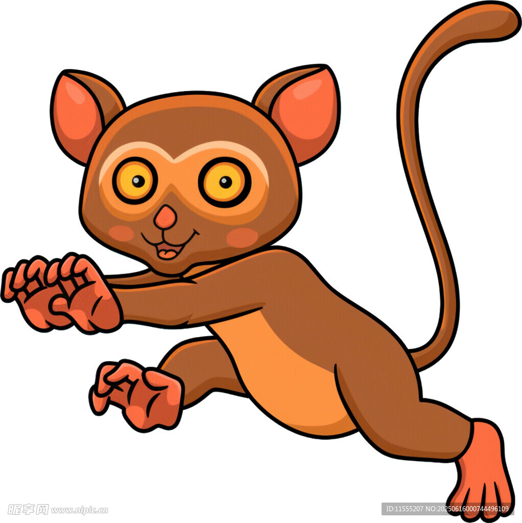跳躍的可愛小狐猴