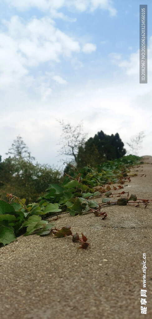 泰山風(fēng)光