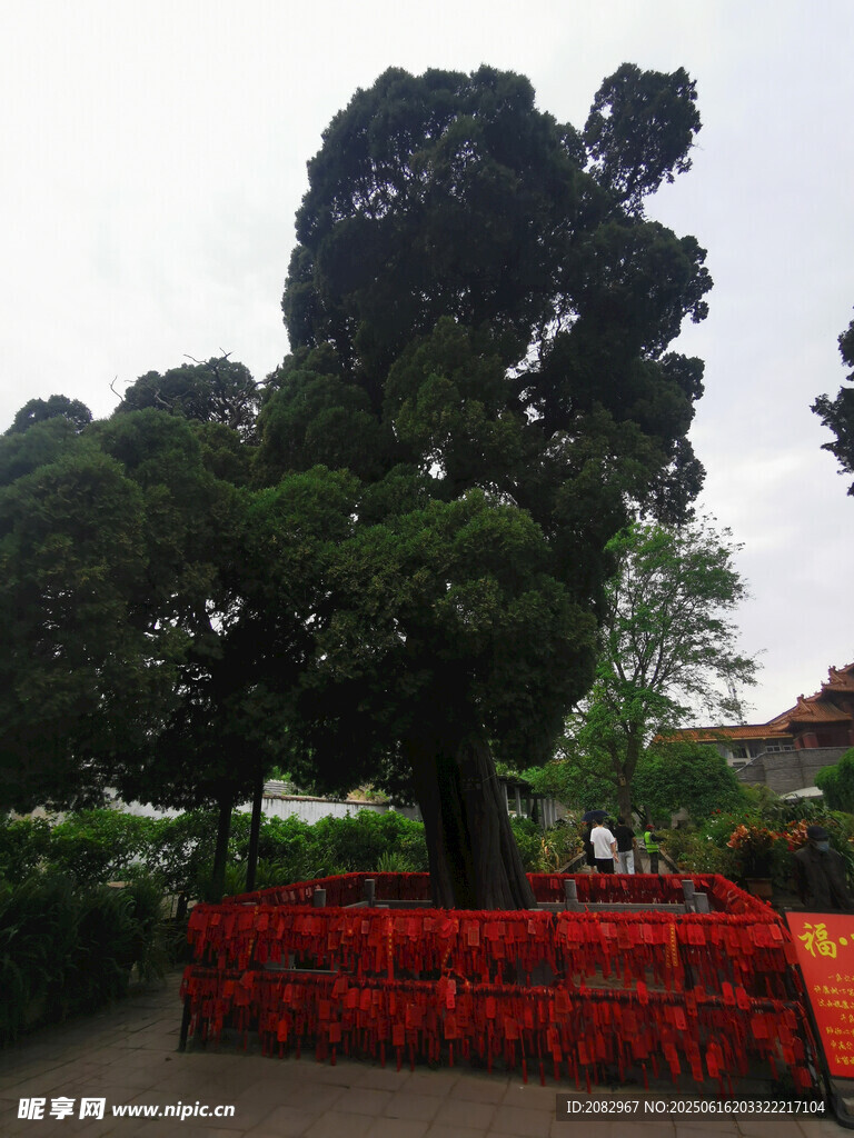 泰山風光
