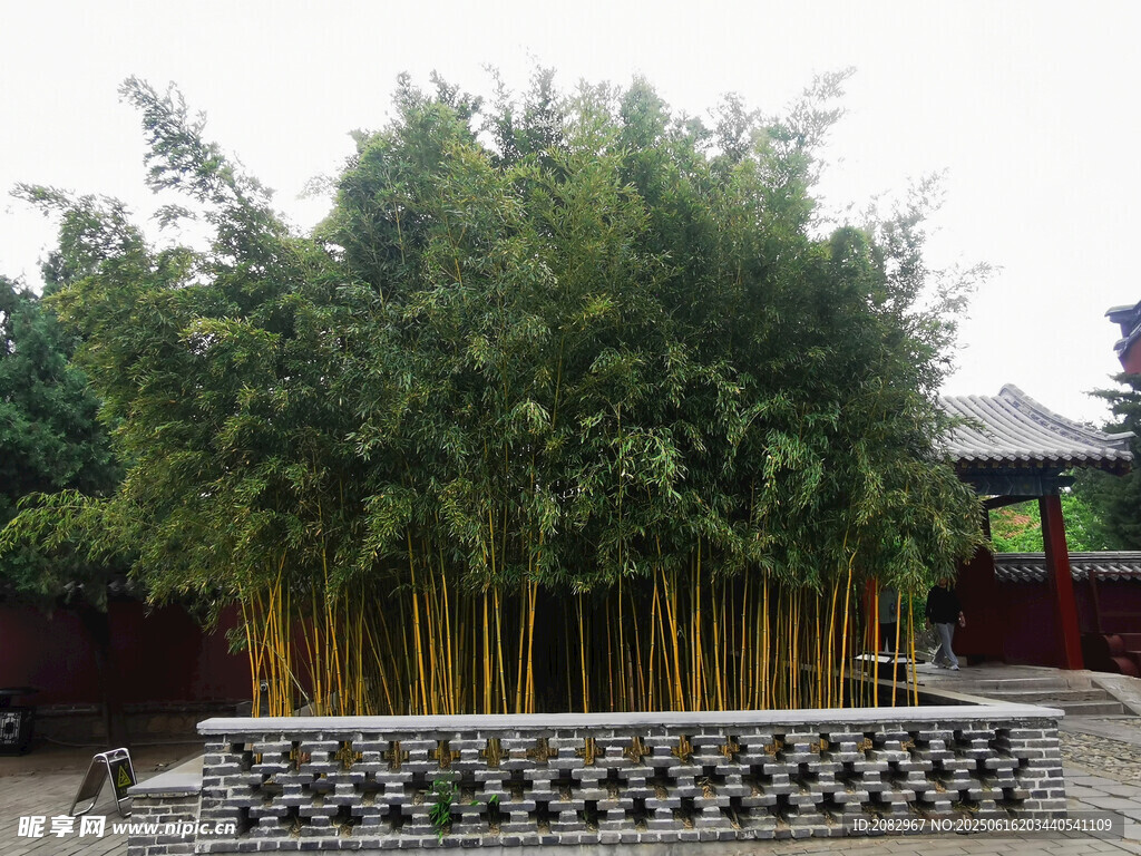 泰山風(fēng)光