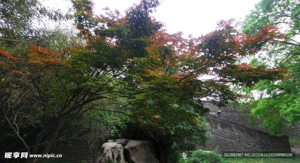 泰山風光