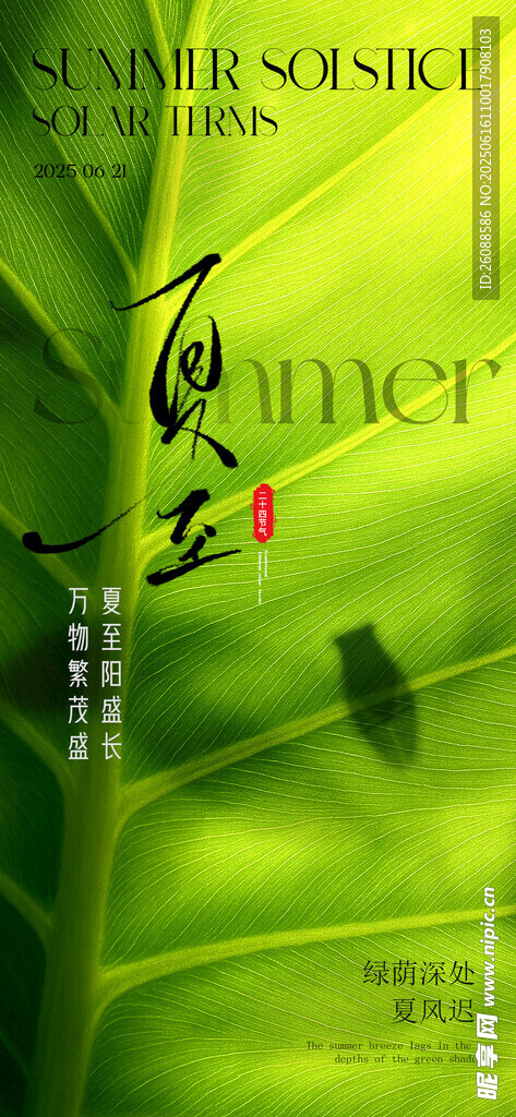 夏日夏至綠葉主題創意設計