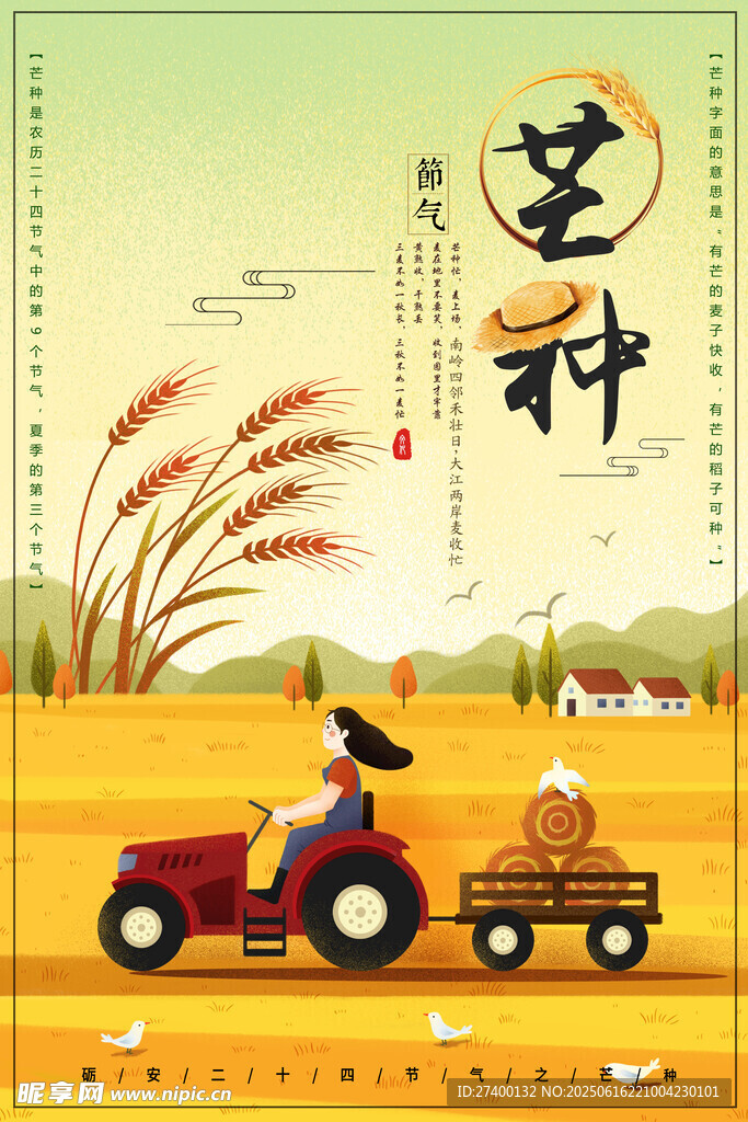 芒種時節農田耕作景象