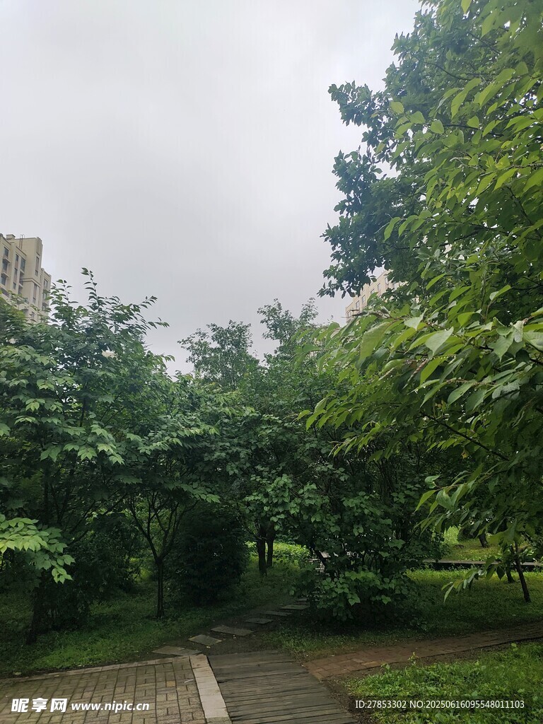 城市中的靜謐林蔭小道