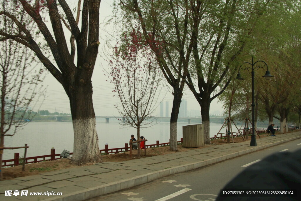 湖邊道路旁的樹木與行人