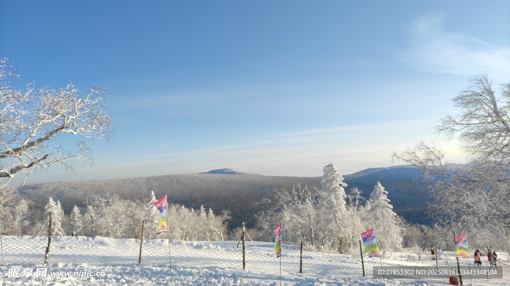 冬日雪景中的銀白山林