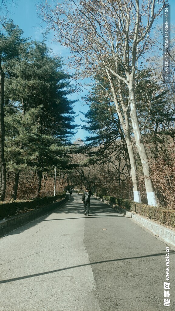林間漫步道