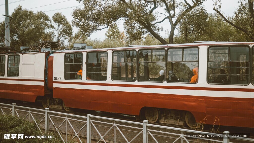 復古列車行駛于林間
