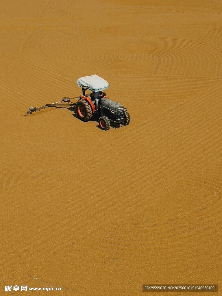 沙漠中的四輪越野摩托車