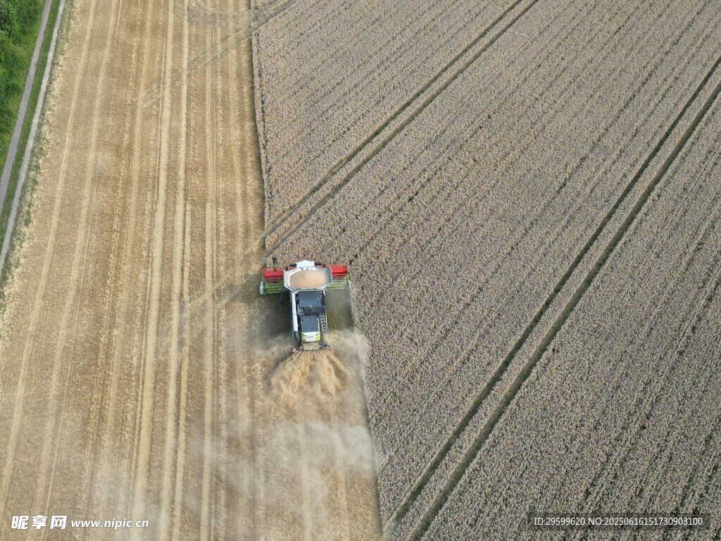 農田中農機作業場景