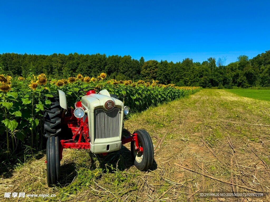田野中的紅色拖拉機