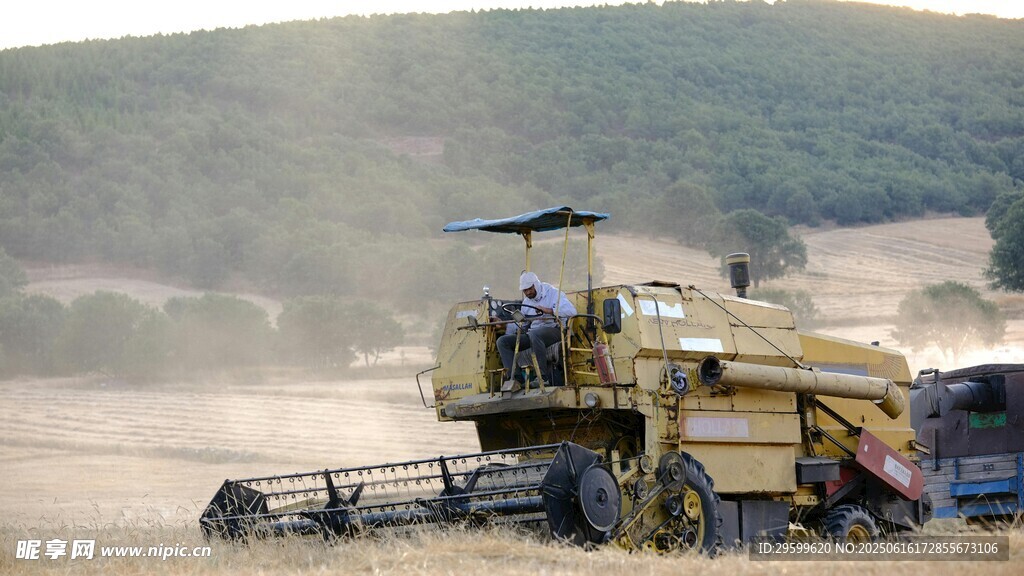 田間作業的大型聯合收割機