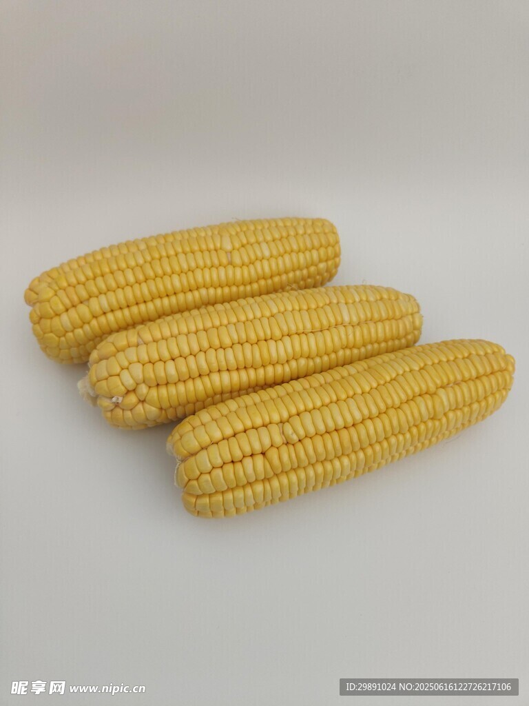 玉米