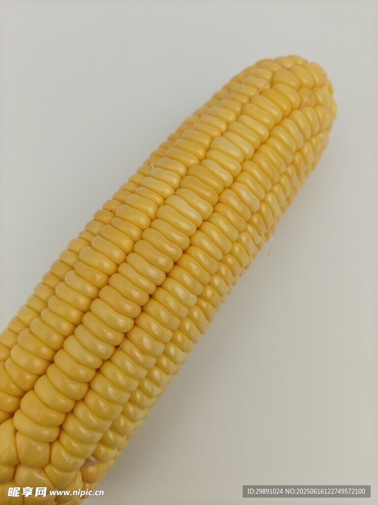 玉米