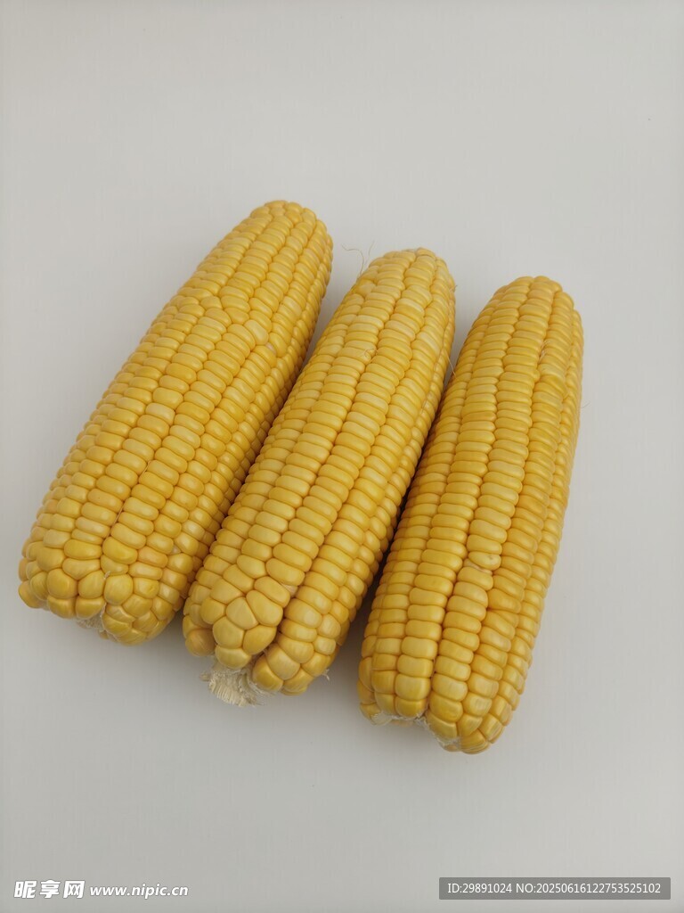 玉米