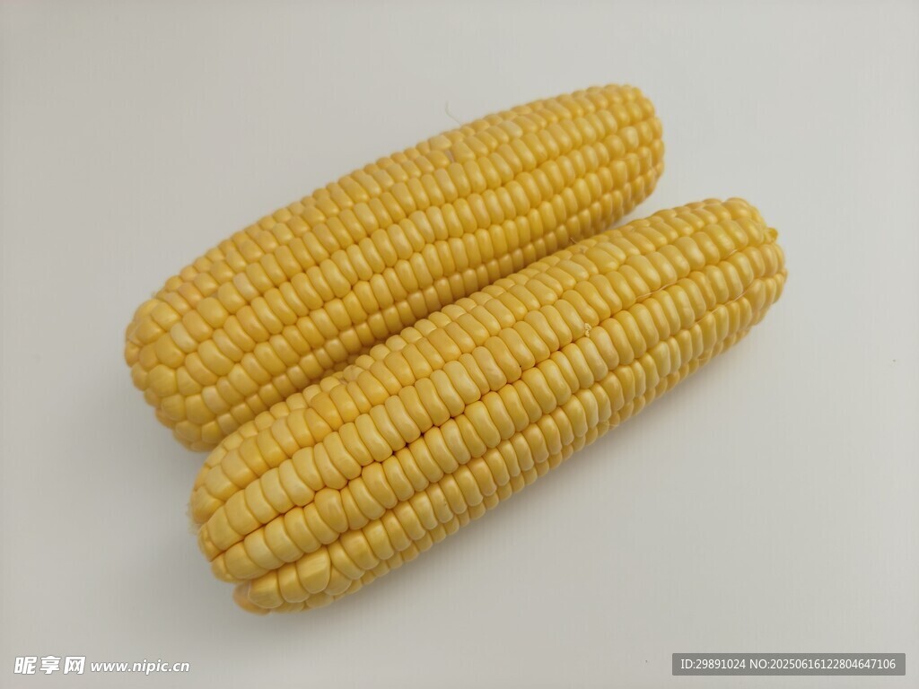 玉米