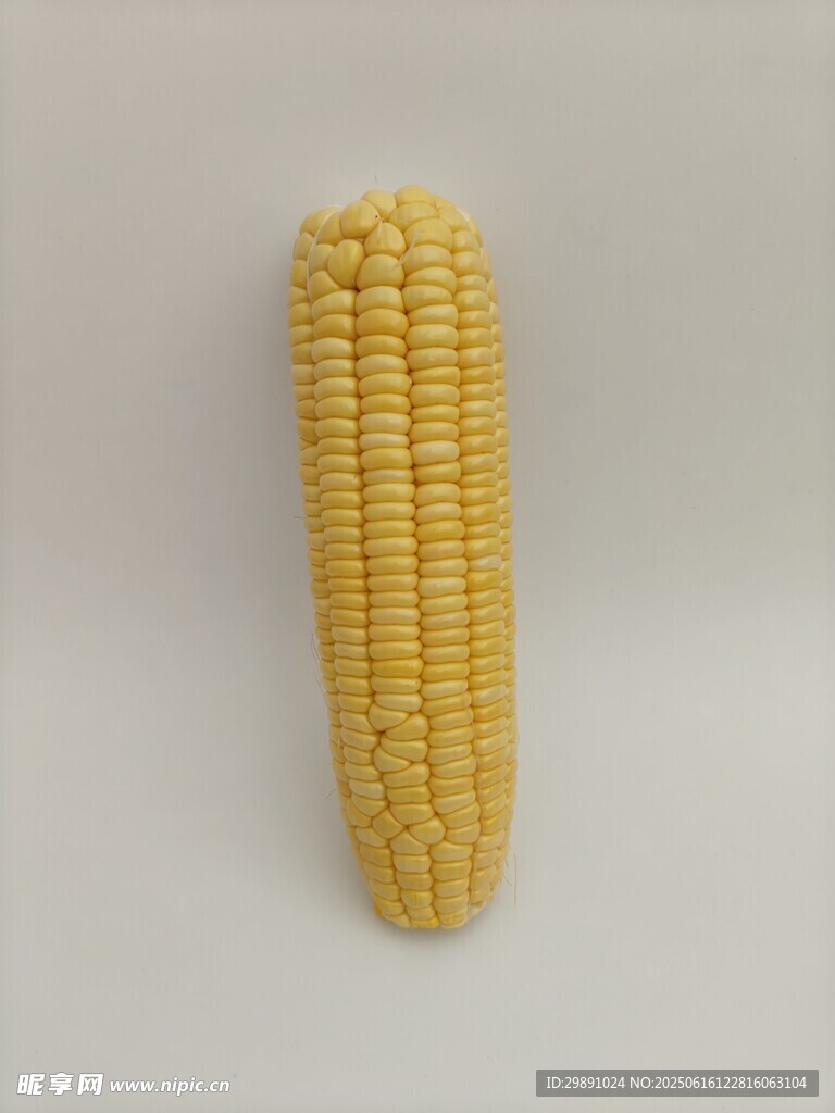 玉米