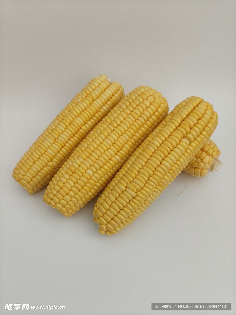 玉米