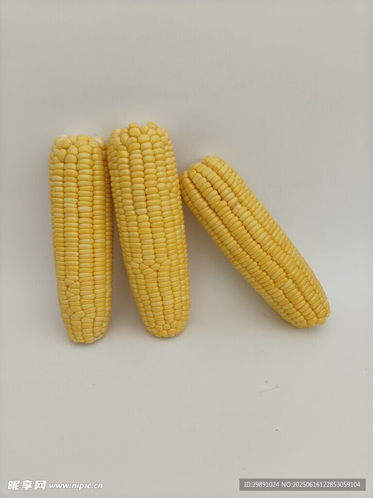 玉米