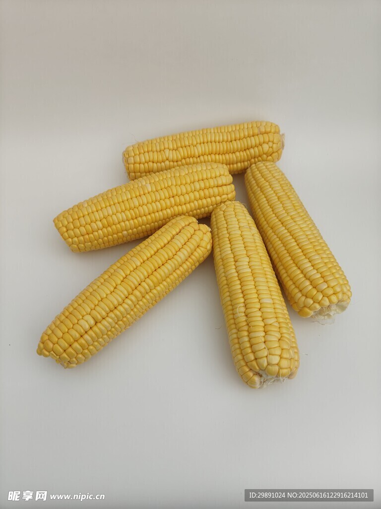玉米
