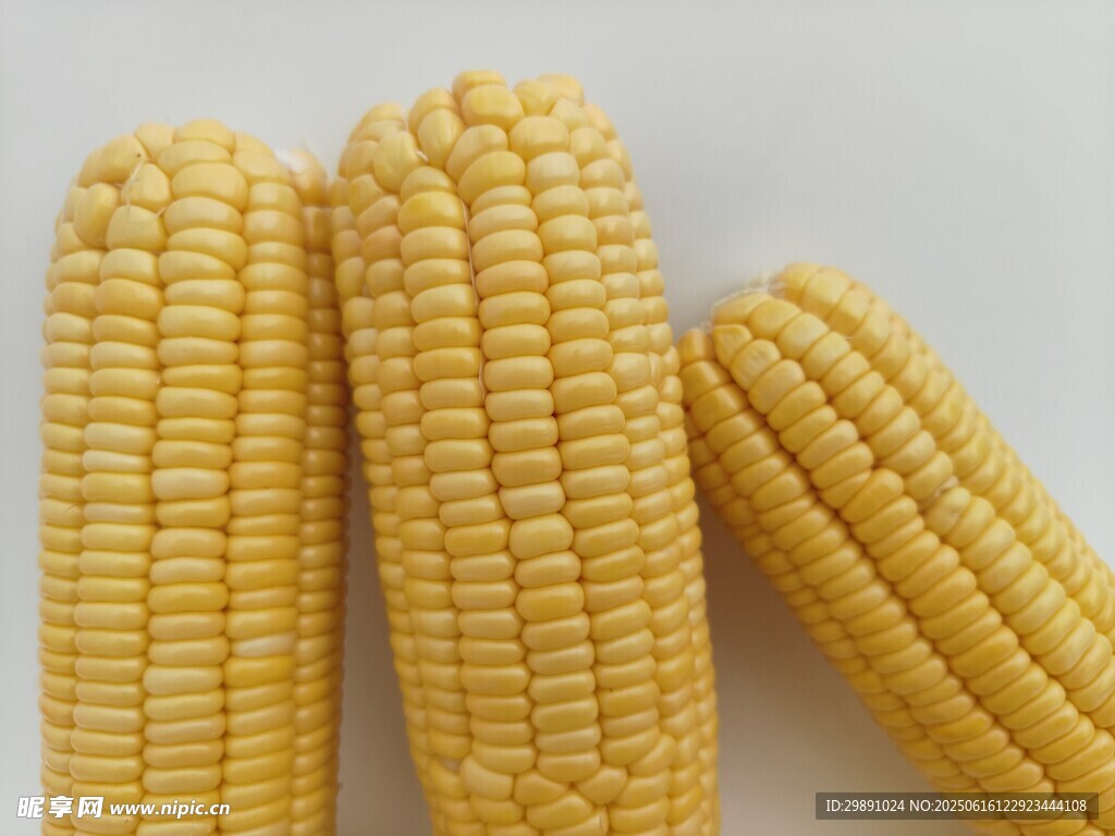 玉米