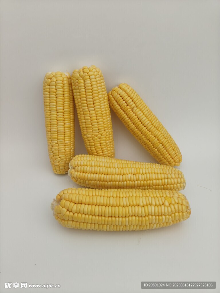 玉米