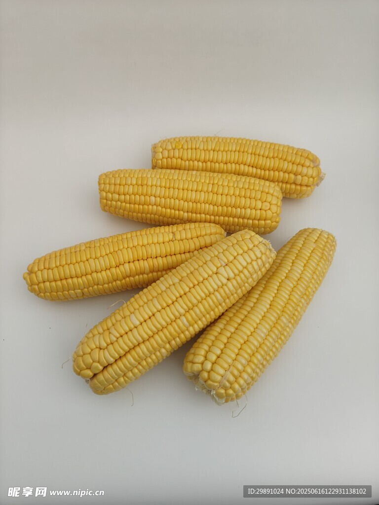 玉米