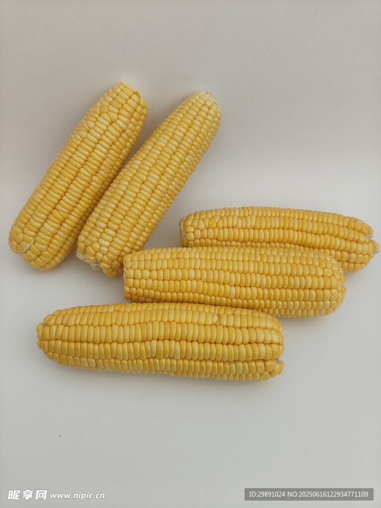 玉米