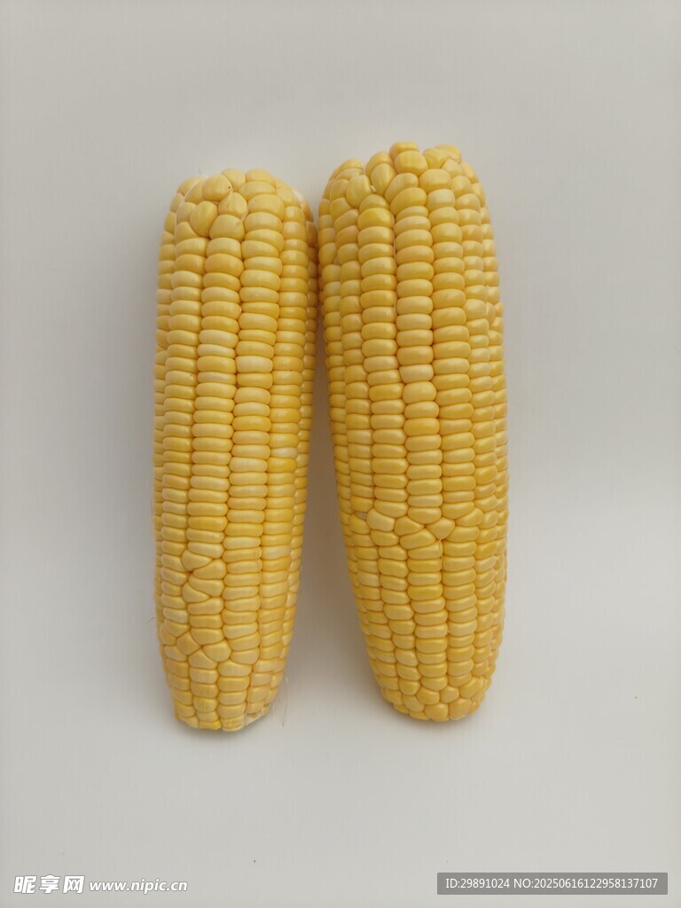 玉米