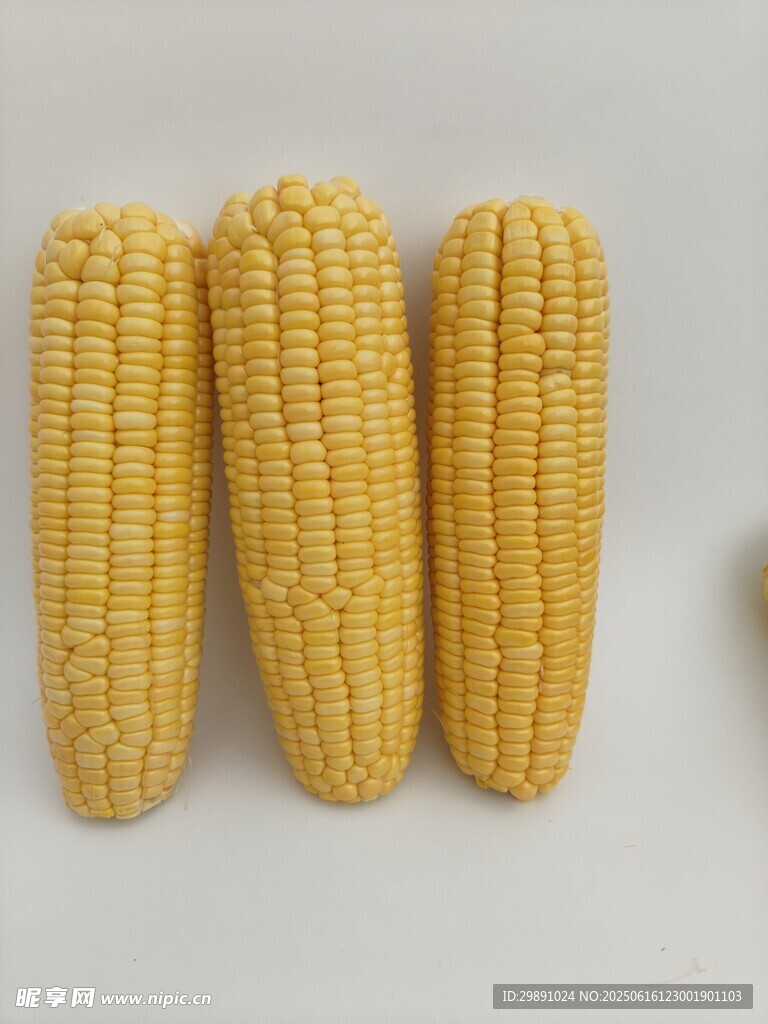 玉米
