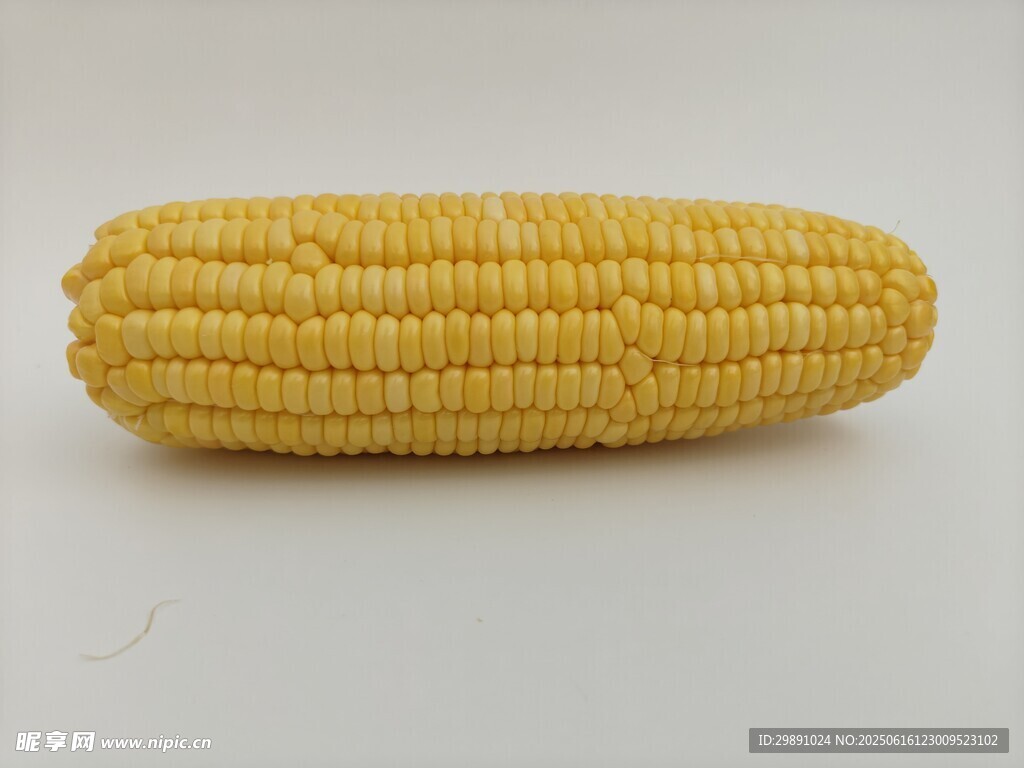 玉米