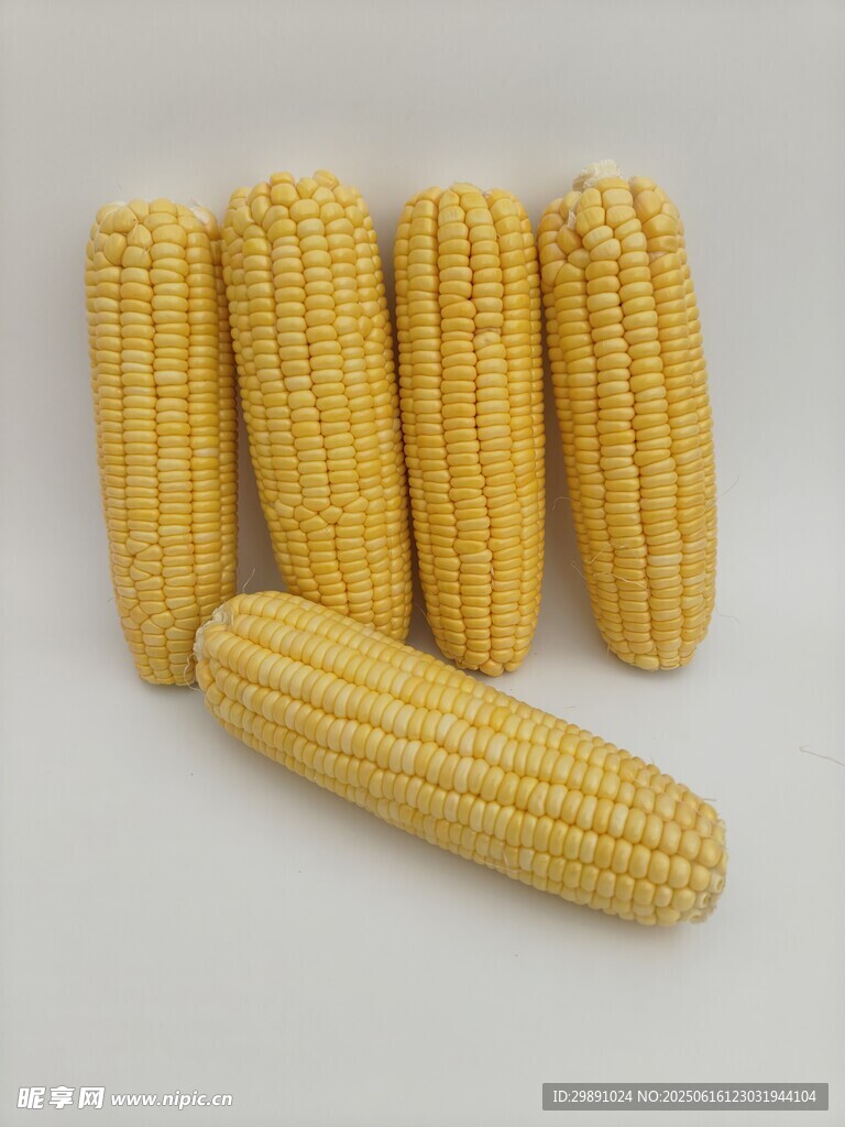 玉米