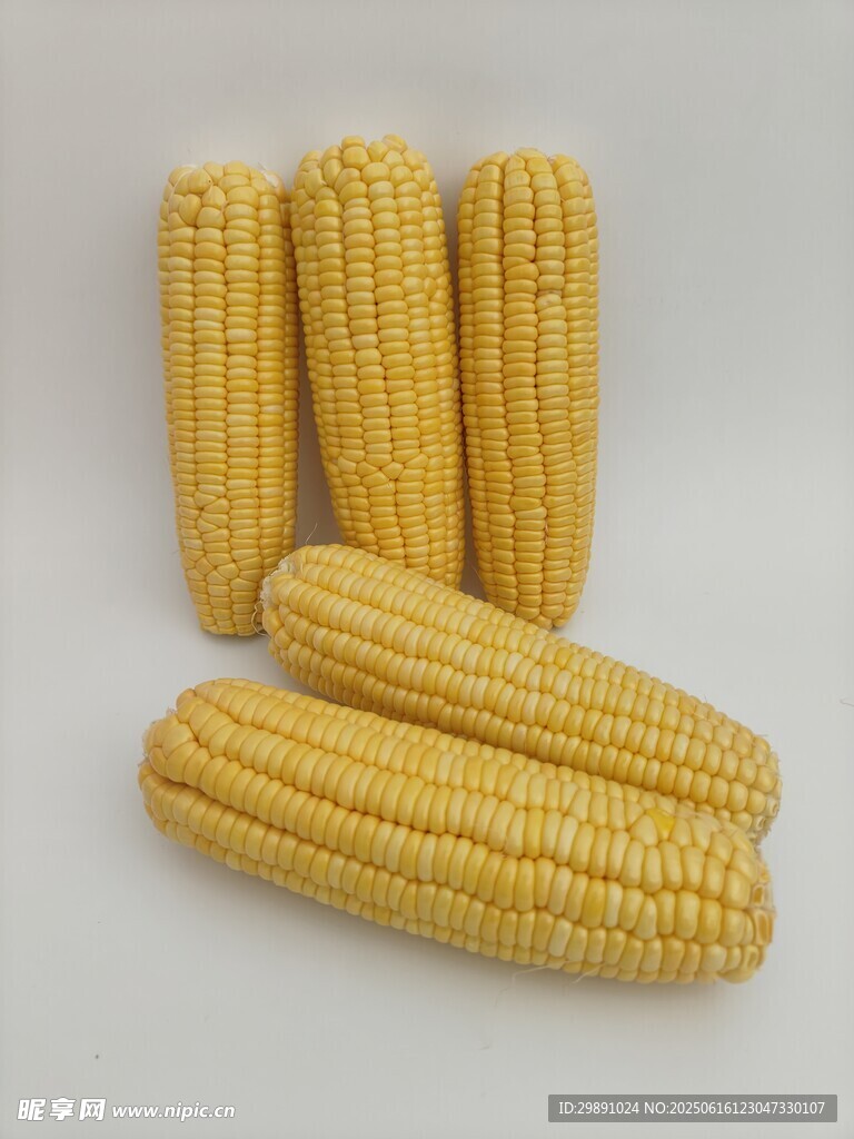 玉米