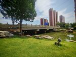 城市河畔綠地休閑景致