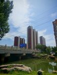 河畔高樓與橋梁風景