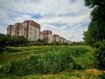 河畔旁的現代住宅區景觀