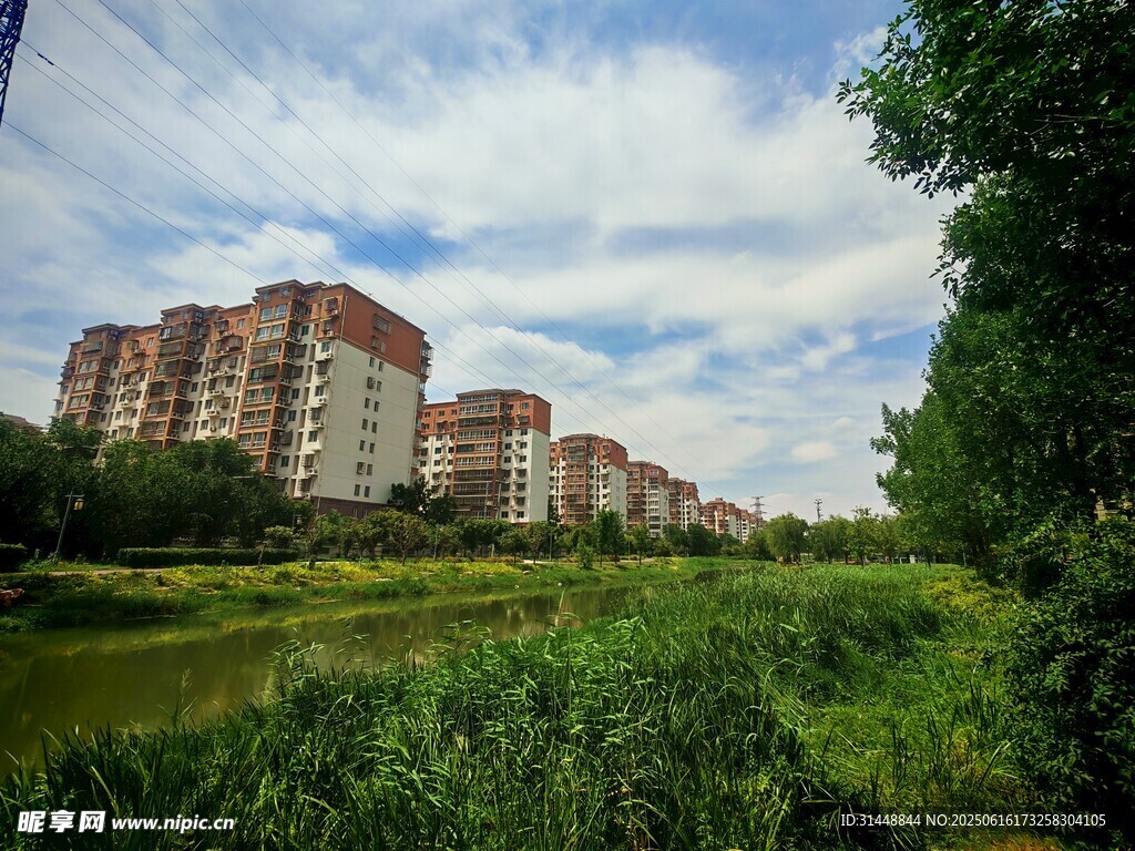 河畔綠植旁的現代住宅區