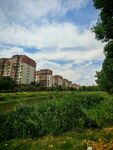 城郊住宅區旁的綠地風光