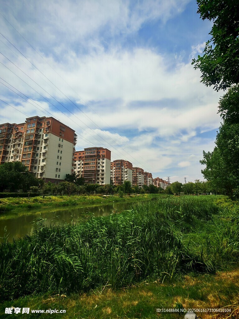 城郊住宅區(qū)旁的綠地風(fēng)光