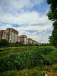城郊住宅區旁的綠地風光