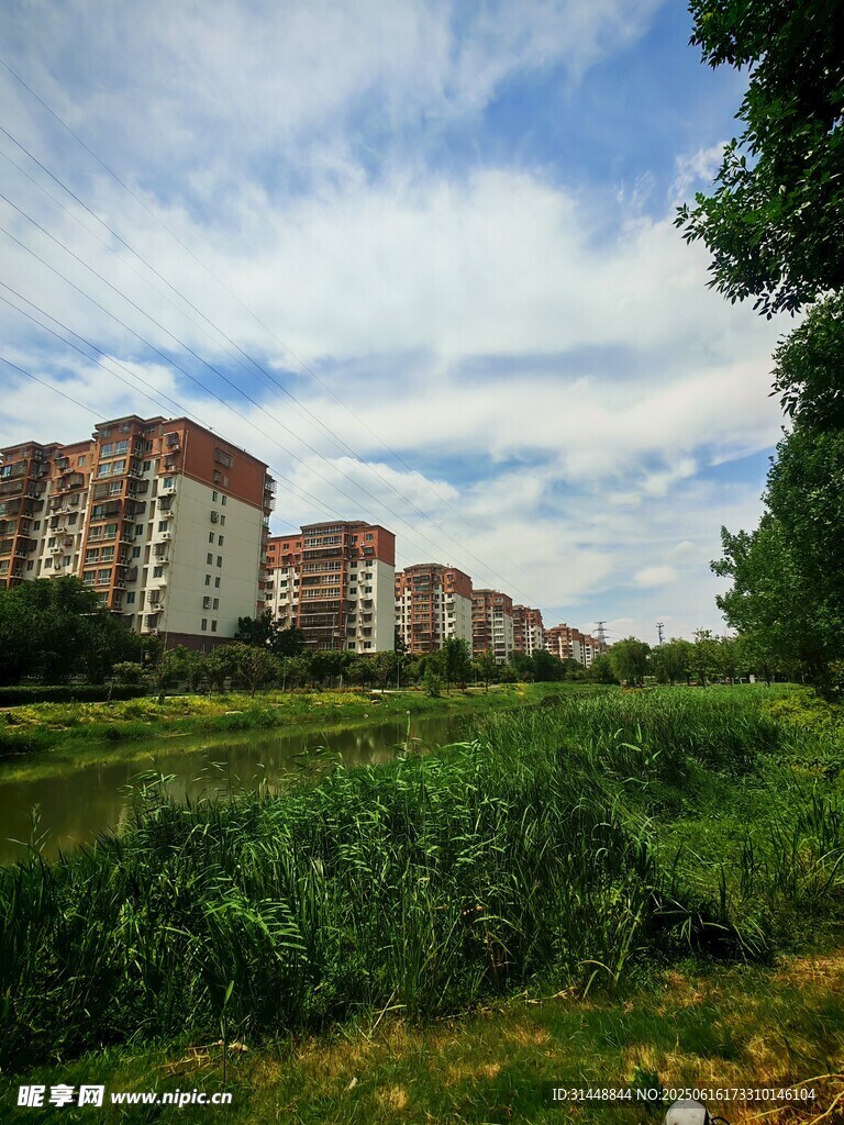 城郊住宅區旁的綠地風光