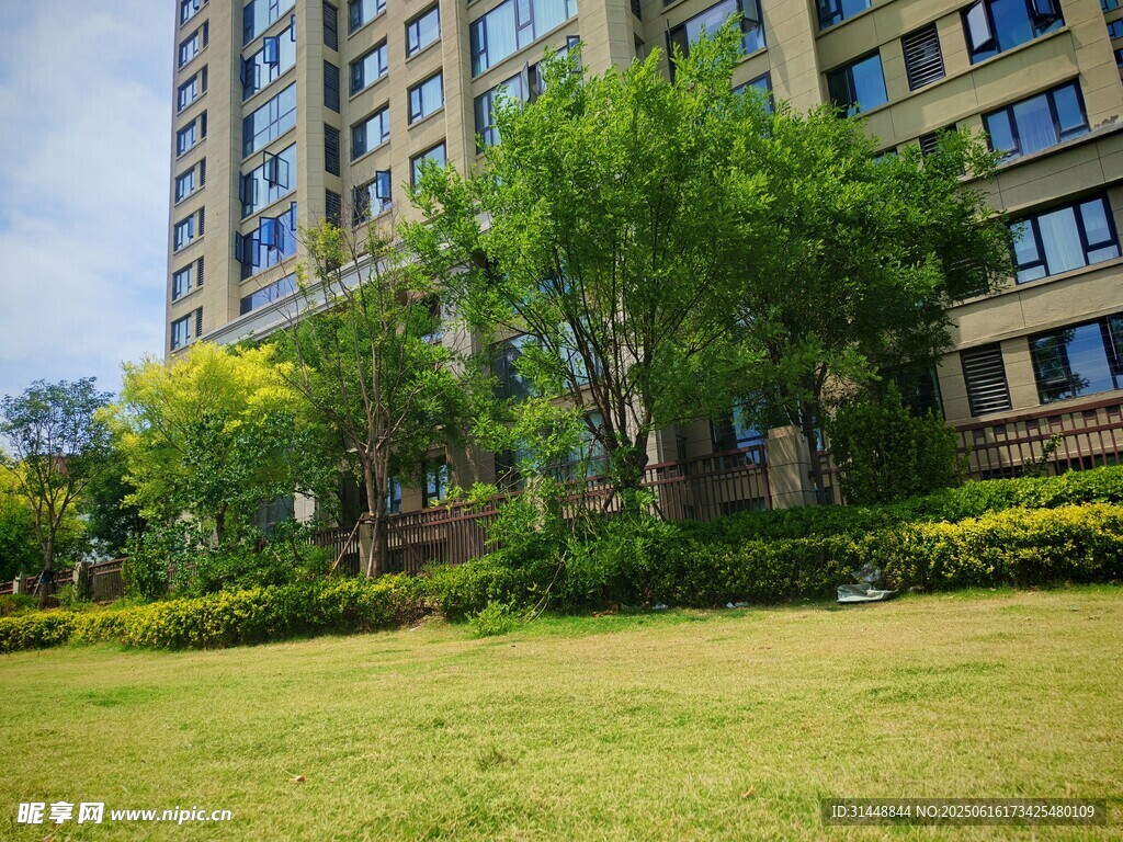 高層住宅旁的綠意景觀