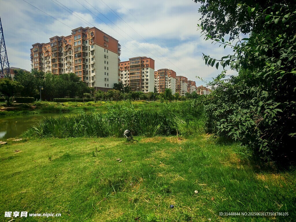 城市綠地旁的高層住宅