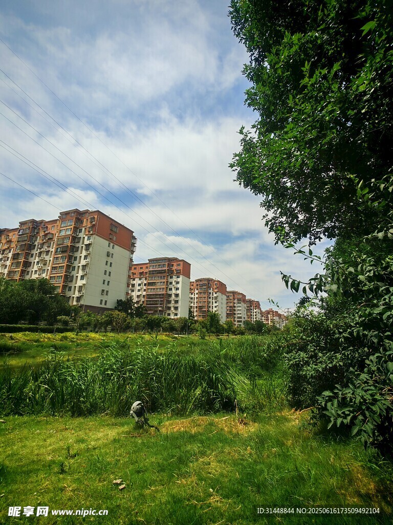 城郊綠地旁的居民樓景觀