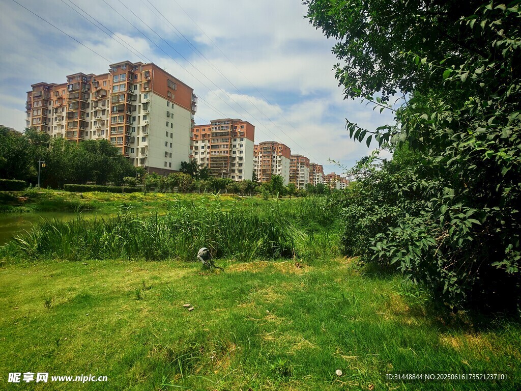 城郊綠地旁的高層住宅