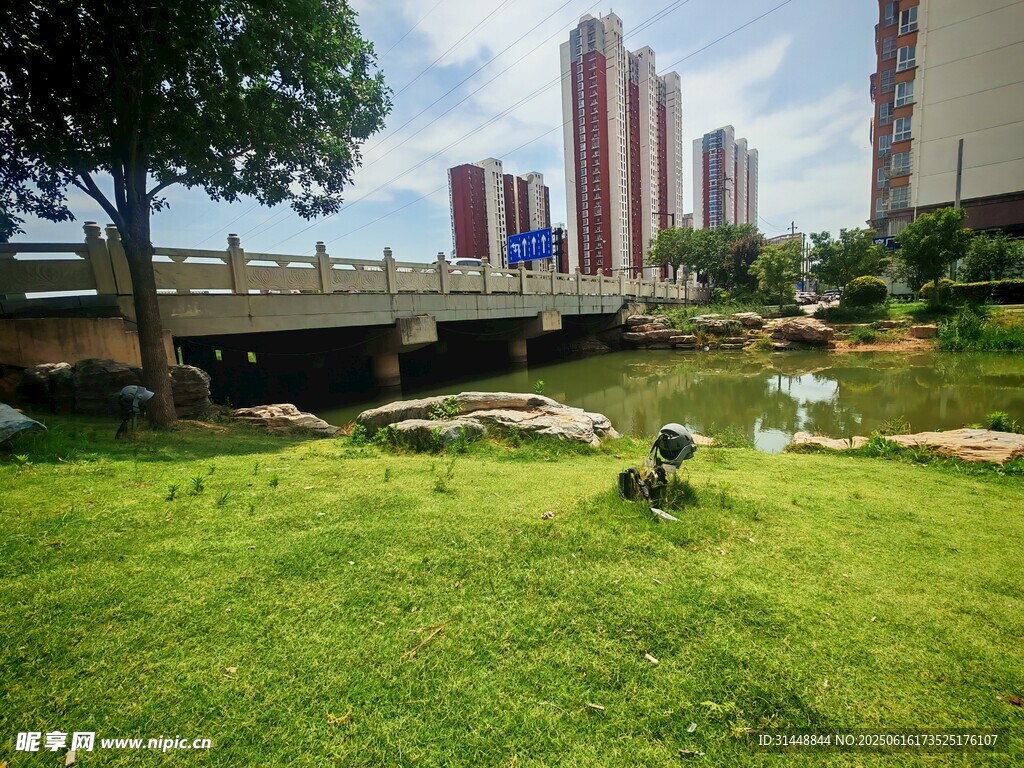城市綠地中的休閑小景